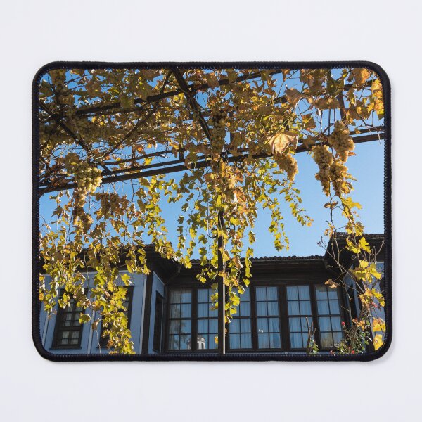 Item preview, Sunlit Grape Vine Pergola Over Historic Building designed and sold by Georgia Mizuleva.