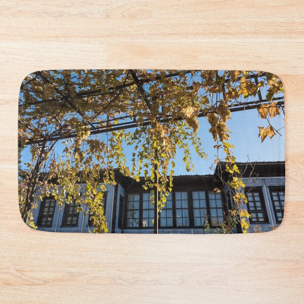 Item preview, Sunlit Grape Vine Pergola Over Historic Building designed and sold by Georgia Mizuleva.