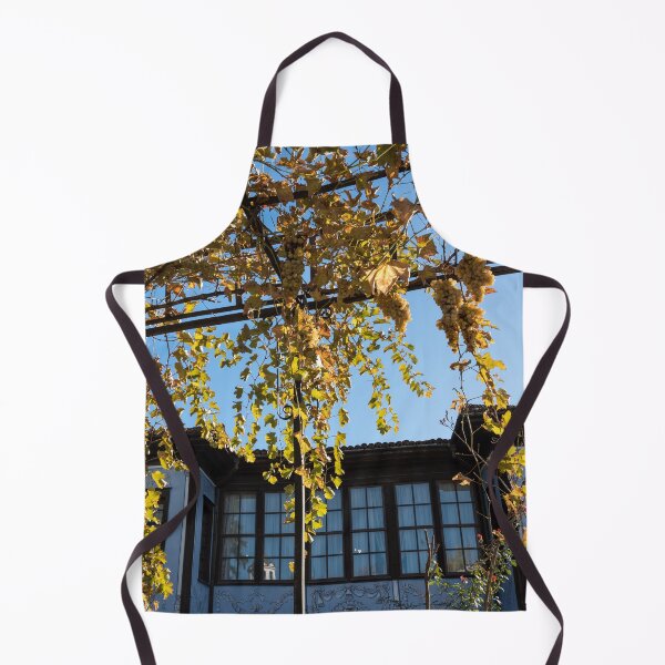 Item preview, Sunlit Grape Vine Pergola Over Historic Building designed and sold by Georgia Mizuleva.