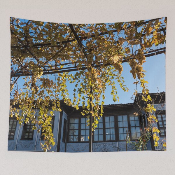Item preview, Sunlit Grape Vine Pergola Over Historic Building designed and sold by Georgia Mizuleva.