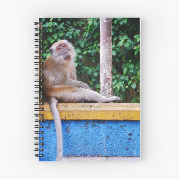 Item preview, Colourful leaning monkey designed and sold by EWoodward-Photo.