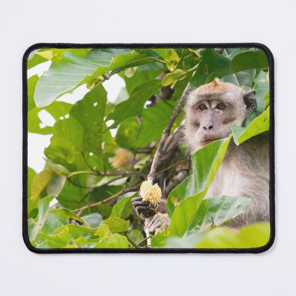 Item preview, Snack Time designed and sold by EWoodward-Photo.