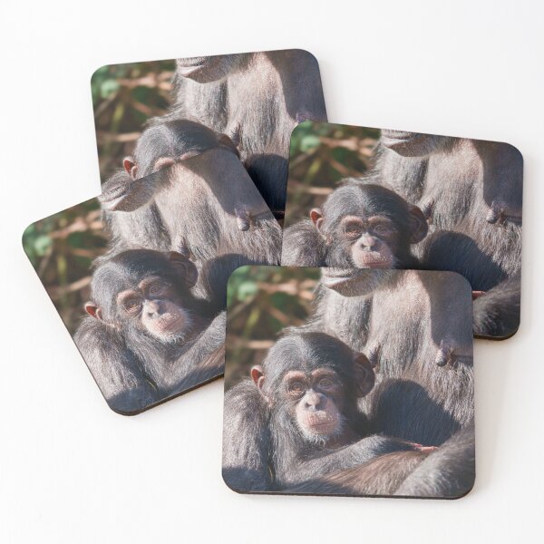 Item preview, Gentle Beginnings – Chimpanzee Love designed and sold by rawshutterbug.