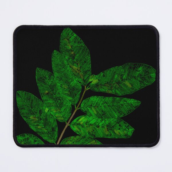 Item preview, Guava stem with iridescent greens designed and sold by RuthGoring.
