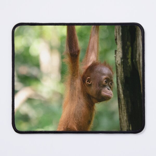 Item preview, Hanging around designed and sold by EWoodward-Photo.