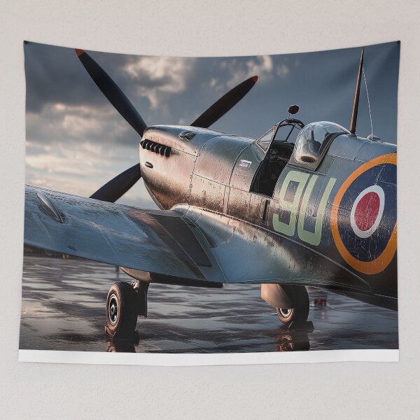 Item preview, Spitfire Battle of Britain Memorial Flight designed and sold by Skyframe Aviation.