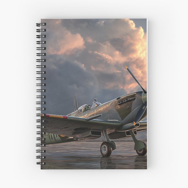 Item preview, Wings of Valor Spitfire Battle of Britain Memorial Flight designed and sold by Skyframe Aviation.