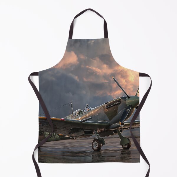 Item preview, Wings of Valor Spitfire Battle of Britain Memorial Flight designed and sold by Skyframe Aviation.