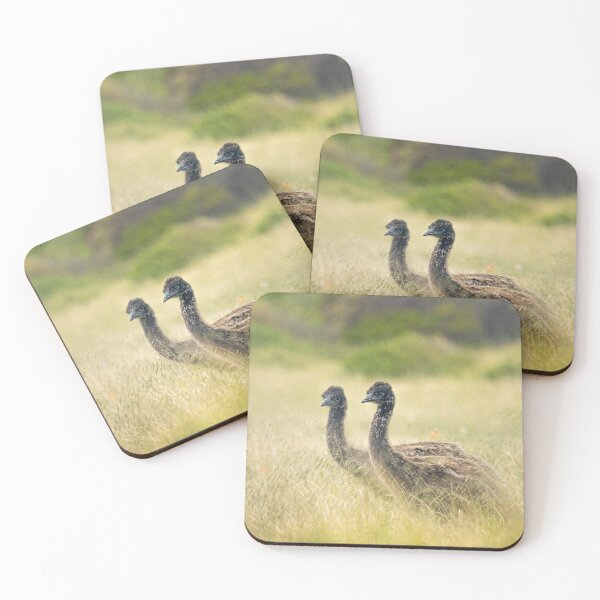 Item preview, Two Baby Emu Chicks designed and sold by LMKphotography.