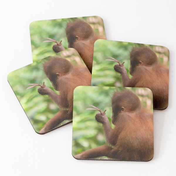 Item preview, * sigh * designed and sold by EWoodward-Photo.