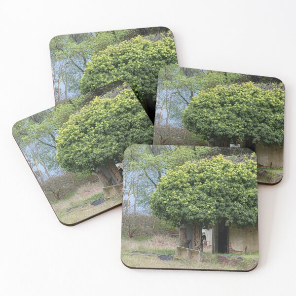 Item preview, Bush on a House - Deep Creek National Park designed and sold by LMKphotography.