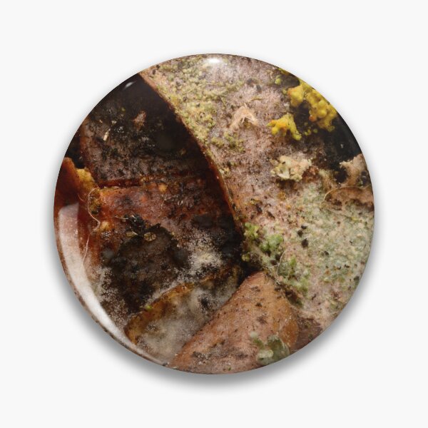 Item preview, Macro texture of decaying leaf with mold, fungi and lichen – natural decomposition pattern designed and sold by Goiko7Margarita.