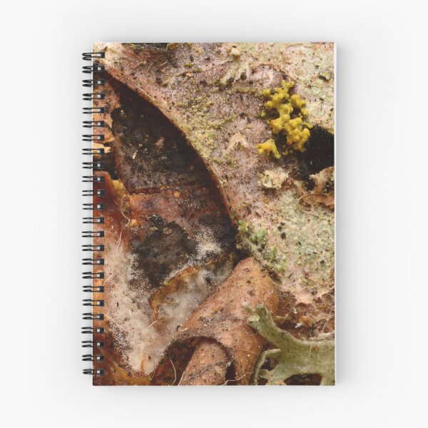 Item preview, Macro texture of decaying leaf with mold, fungi and lichen – natural decomposition pattern designed and sold by Goiko7Margarita.
