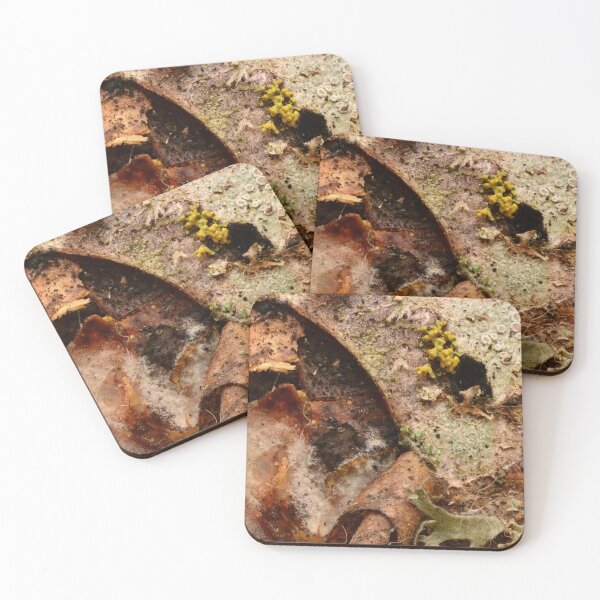 Item preview, Macro texture of decaying leaf with mold, fungi and lichen – natural decomposition pattern designed and sold by Goiko7Margarita.