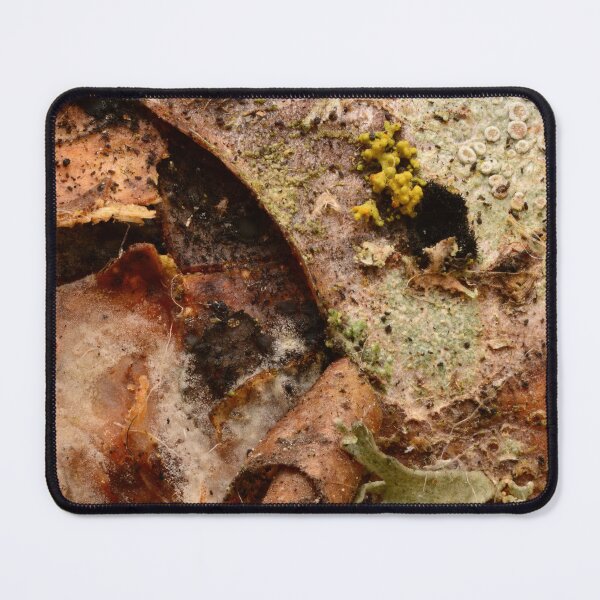Item preview, Macro texture of decaying leaf with mold, fungi and lichen – natural decomposition pattern designed and sold by Goiko7Margarita.