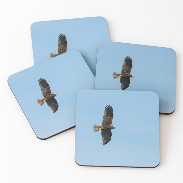 Item preview, Marsh Harrier designed and sold by Ralph Goldsmith.