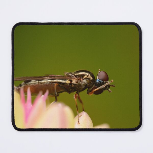 Item preview, Macro of hoverfly on flower bud – close-up insect photography designed and sold by Goiko7Margarita.