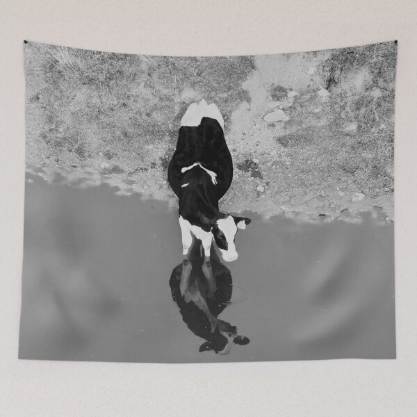 Item preview, Cow in water on a mountain designed and sold by ParkesPhotography.