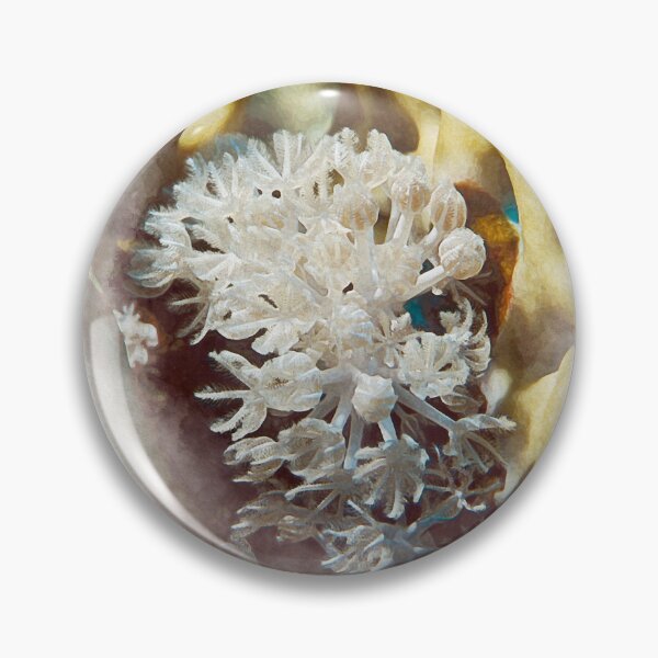 Item preview, Close-Up of Coral Reef Life Featuring Soft and Hard Corals in watercolor designed and sold by FotoMahieu.