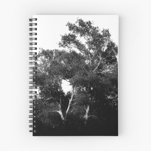 Item preview, Large Old Tree designed and sold by Sketchbrooke.