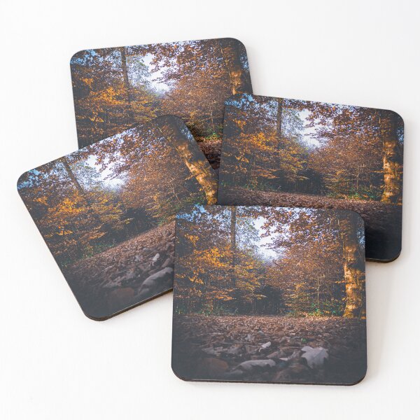 Item preview, Autumnal forest path in the golden evening light designed and sold by SchuLou-Fotokram.