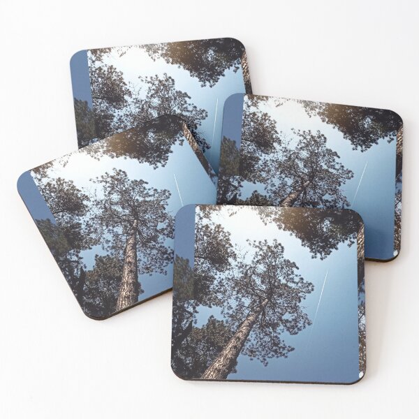 Item preview, Vertical Pine Forest Sky View - Contrail Sunlight Photo  designed and sold by SergioMiklos.