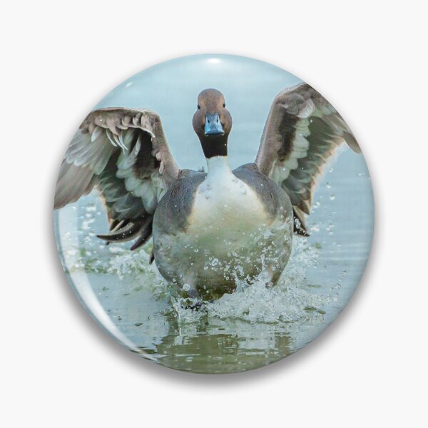 Item preview, Pintail Landing designed and sold by Dalyndigital Photography.