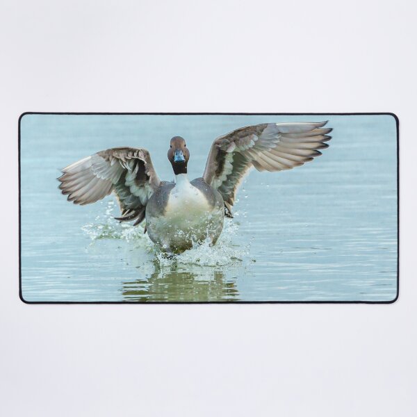 Item preview, Pintail Landing designed and sold by Dalyndigital Photography.