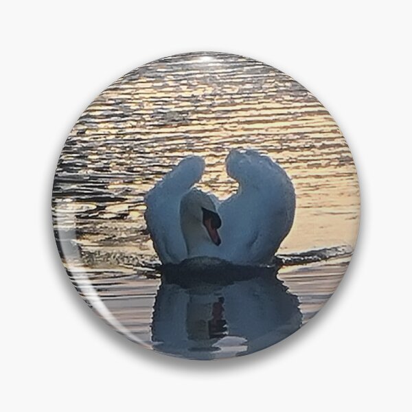 Item preview, TAMalloyPhoto - SWAN OF LOVE 1 designed and sold by TAMalloyPhoto.