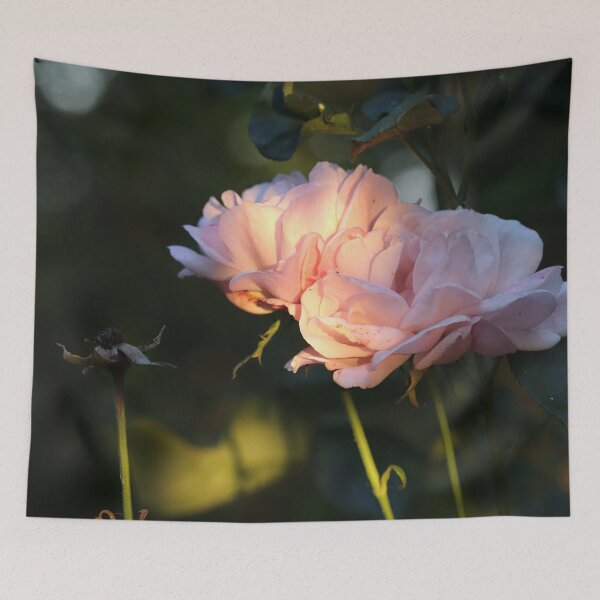 Item preview, A Rose at Day's End designed and sold by cuprum.
