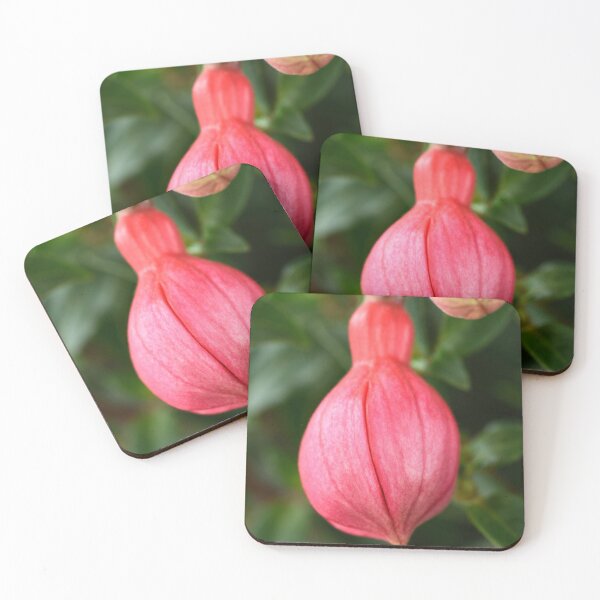 Item preview, Fuchsia  'Ringwood Market'  Flower buds   designed and sold by Chris Burrows.
