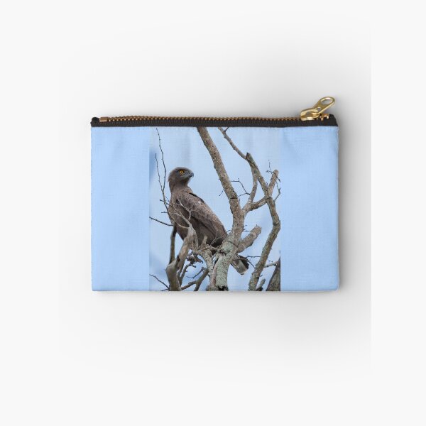 Item preview, Brown Snake-Eagle (Circaetus cinereus) designed and sold by Yair Karelic.