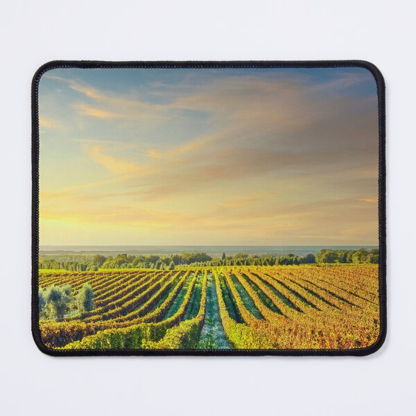 Item preview, Bolgheri vineyards at sunset. Alta Maremma, Tuscany, Italy designed and sold by Stefano Orazzini.