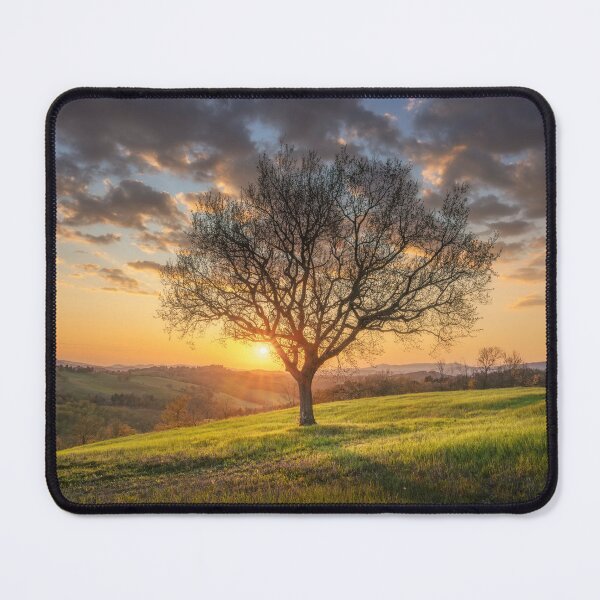 Item preview, Lone tree in a beautiful spring sunset in Tuscany, Italy designed and sold by Stefano Orazzini.