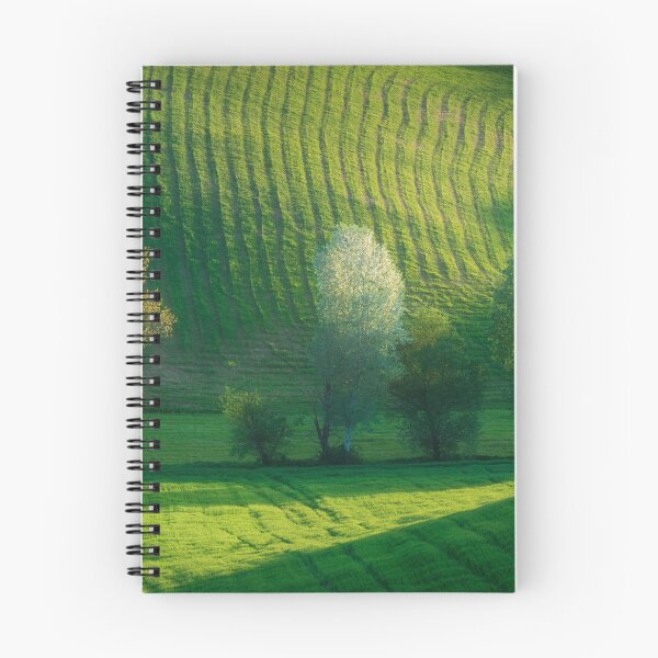 Item preview, Trees in bloom among the rolling hills in Tuscany, Italy designed and sold by Stefano Orazzini.
