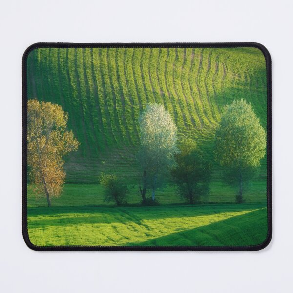 Item preview, Trees in bloom among the rolling hills in Tuscany, Italy designed and sold by Stefano Orazzini.