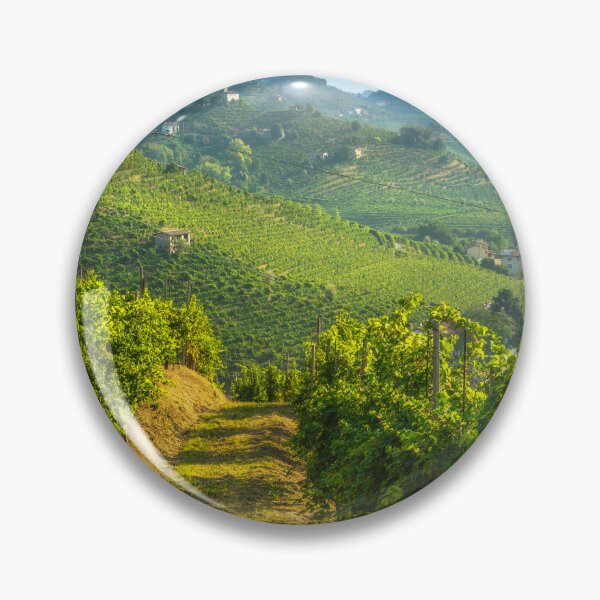 Item preview, Prosecco Hills, path among the vineyards. Veneto, Italy designed and sold by Stefano Orazzini.