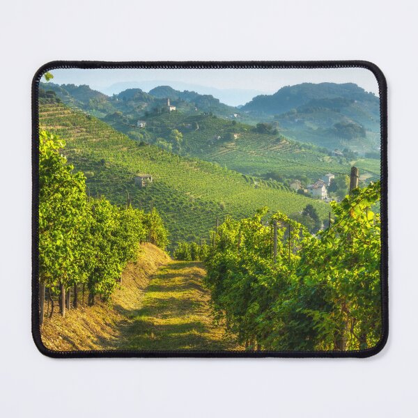 Item preview, Prosecco Hills, path among the vineyards. Veneto, Italy designed and sold by Stefano Orazzini.
