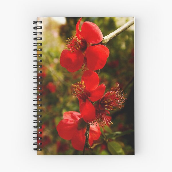 Item preview, Wild, red cherry blossom designed and sold by AgArtD.