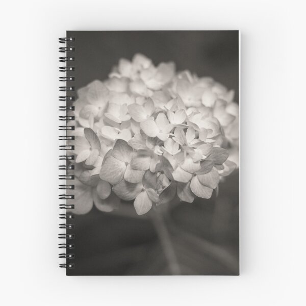 Item preview, Hydrangea designed and sold by David Bowman.