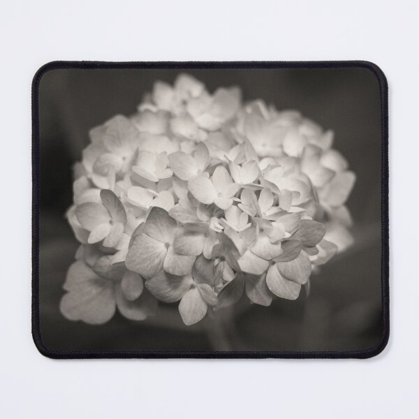 Item preview, Hydrangea designed and sold by David Bowman.