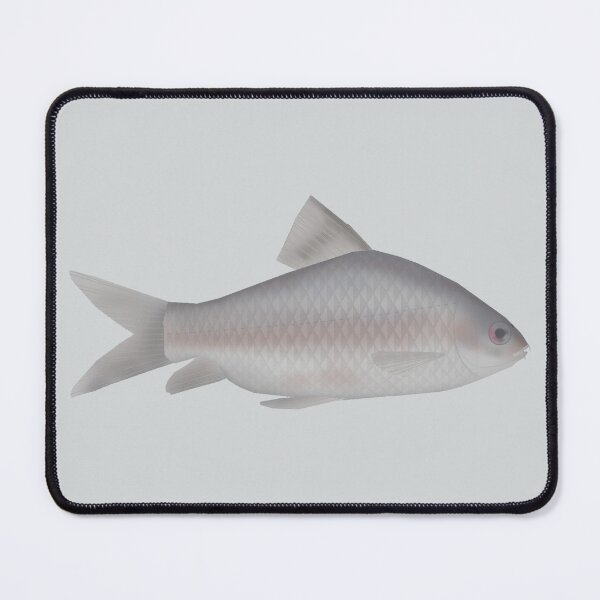 Item preview, Krishna Carp designed and sold by fishfolkart.