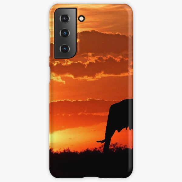 Samsung Galaxy S21 - Snap