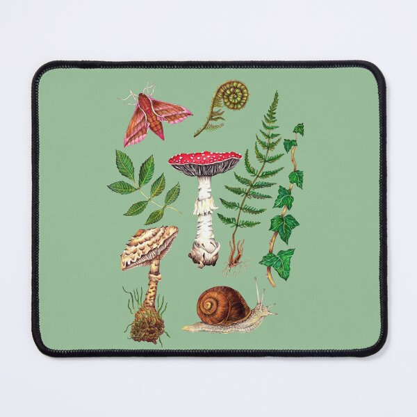 Item preview, Nature Study Wildlife Illustration designed and sold by Christina Plumb.