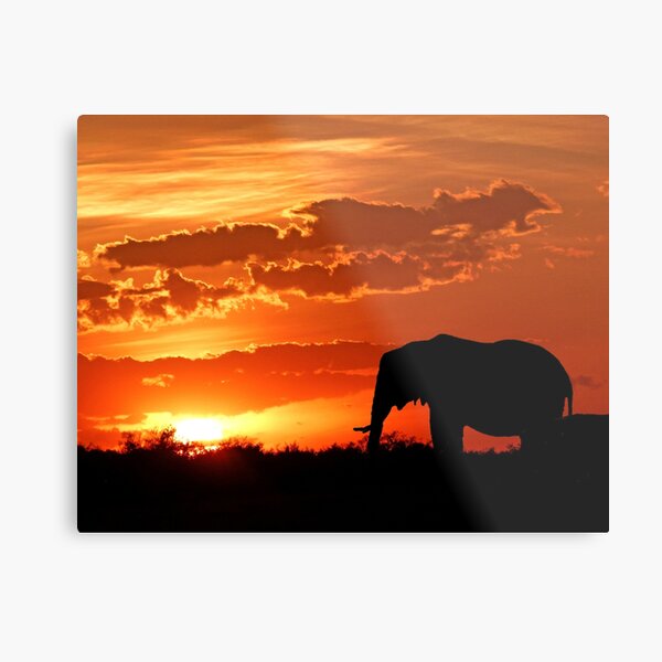 Metal Print