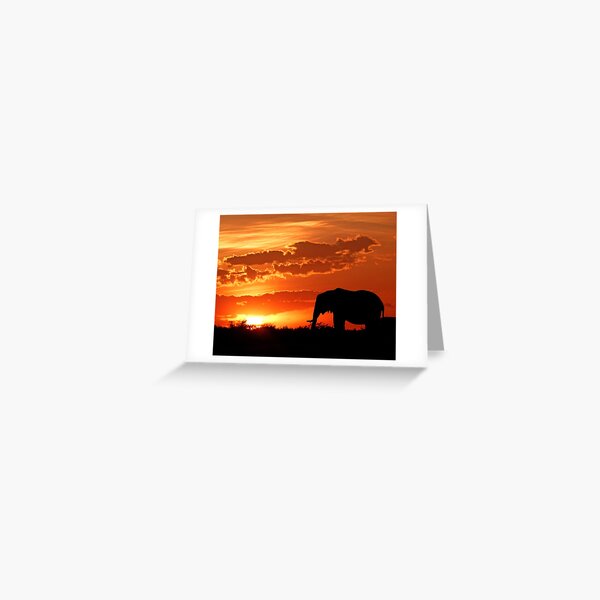 Greeting Card