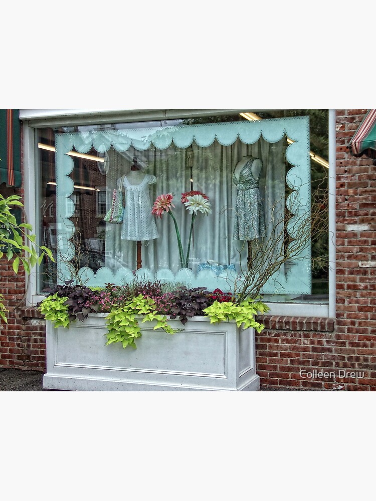 Salisbury Shop by colgdrew