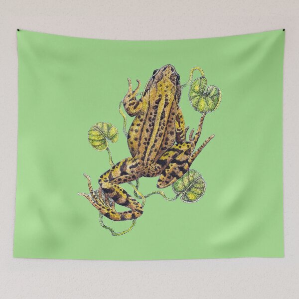 Item preview, Frog Nature Study designed and sold by Christina Plumb.