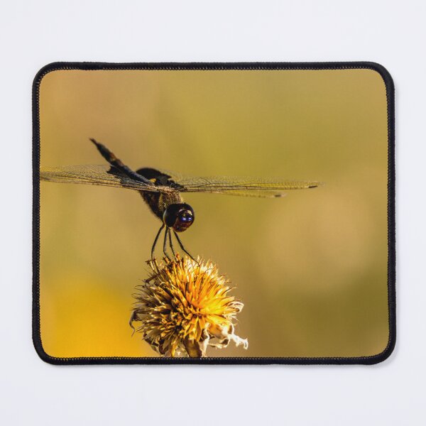 Item preview, Dragonfly on a Spent Flower designed and sold by Debra Martz.