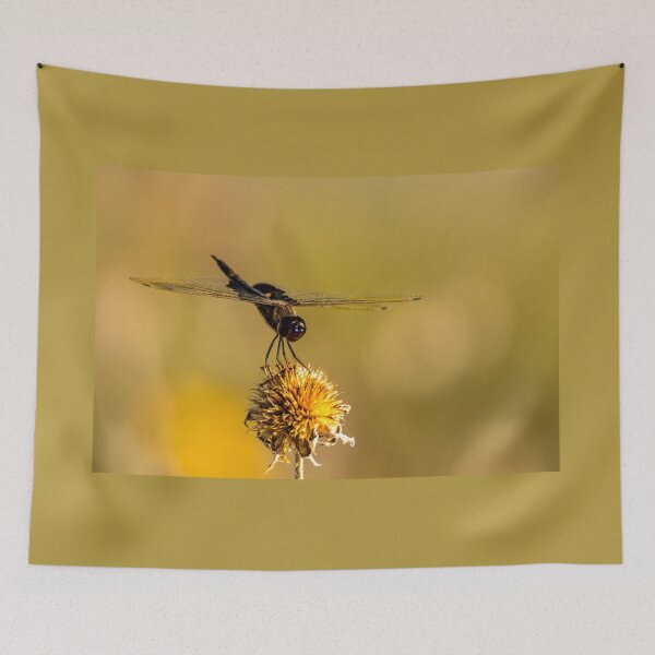 Item preview, Dragonfly on a Spent Flower designed and sold by Debra Martz.